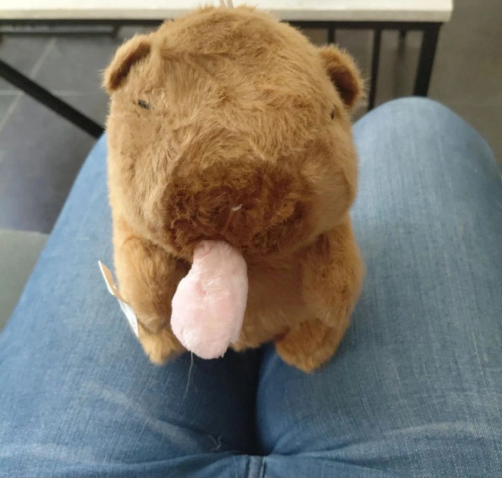 Peluche capybara 